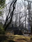 岩槻城址公園の写真のサムネイル写真29