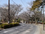 岩槻城址公園の写真のサムネイル写真31