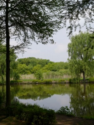 上尾丸山公園の写真