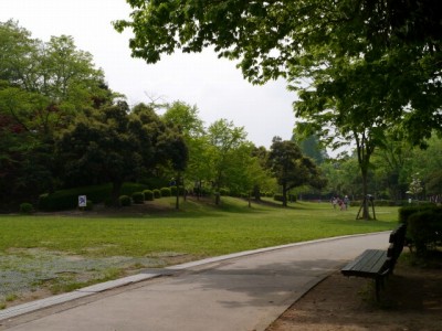 上尾丸山公園の写真5