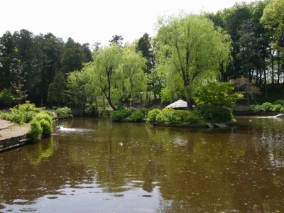 上尾丸山公園の写真18