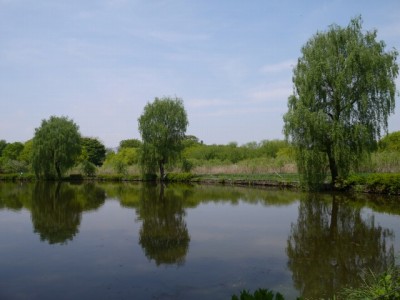 上尾丸山公園の写真22