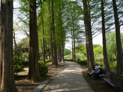 上尾丸山公園の写真23