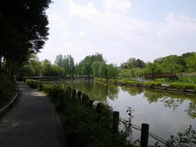 上尾丸山公園の写真25