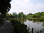 上尾丸山公園の写真のサムネイル写真25