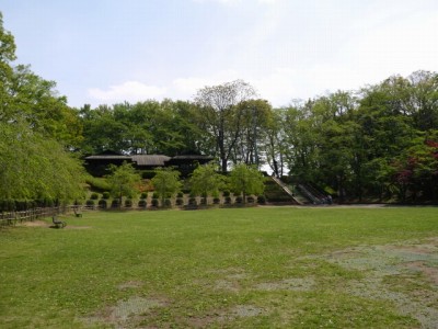 上尾丸山公園の写真26