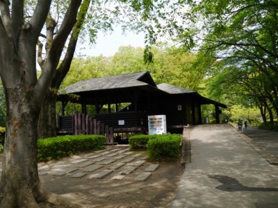 上尾丸山公園の写真27