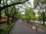 上尾丸山公園の写真のサムネイル写真28