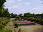 上尾丸山公園の写真のサムネイル写真31