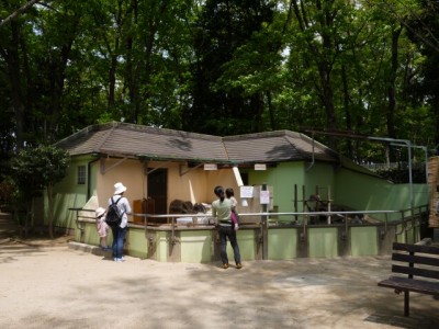 上尾丸山公園の写真32