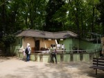 上尾丸山公園の写真のサムネイル写真32