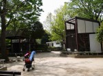 上尾丸山公園の写真のサムネイル写真34