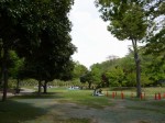 上尾丸山公園の写真のサムネイル写真43