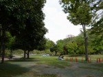 上尾丸山公園の写真のサムネイル写真43