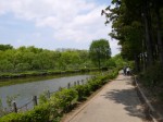 上尾丸山公園の写真のサムネイル写真44