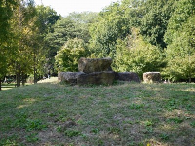 彩湖・道満グリーンパークの写真2