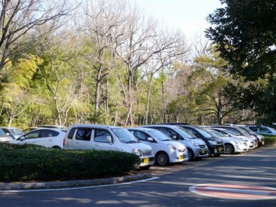 北本自然観察公園の写真