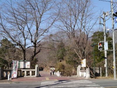 北本自然観察公園の写真2