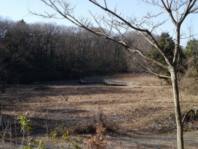 北本自然観察公園の写真4