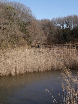 北本自然観察公園の写真6