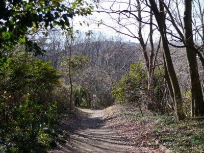 北本自然観察公園の写真9