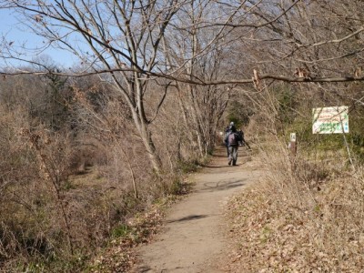 北本自然観察公園の写真10