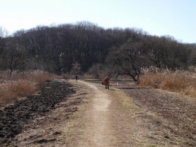 北本自然観察公園の写真13