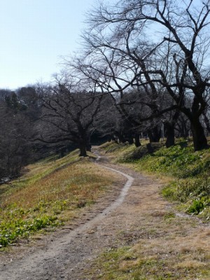 北本自然観察公園の写真19