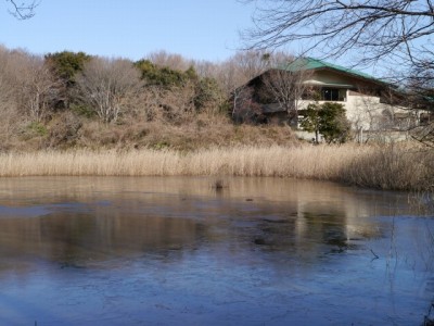 北本自然観察公園の写真21