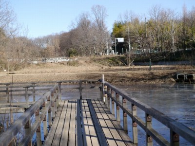 北本自然観察公園の写真22