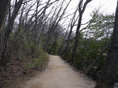 北本自然観察公園の写真34