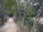 北本自然観察公園の写真のサムネイル写真32