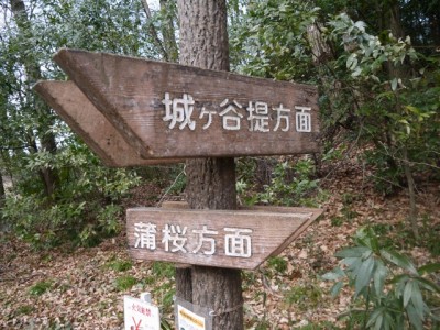 北本自然観察公園の写真37