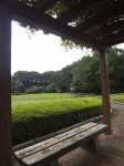 川口市立グリーンセンターの写真のサムネイル写真23