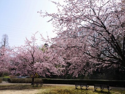 川口市立グリーンセンターの写真51