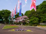 川口市立グリーンセンターの写真のサムネイル写真58