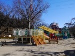 川口市立グリーンセンターの写真のサムネイル写真95