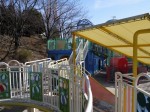 川口市立グリーンセンターの写真のサムネイル写真109