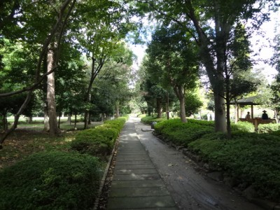 川口自然公園の写真4
