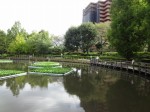 川口自然公園の写真のサムネイル写真6