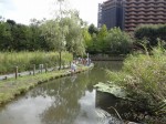 川口自然公園の写真のサムネイル写真9