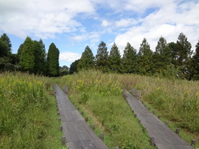 川口自然公園の写真10