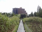 川口自然公園の写真のサムネイル写真11