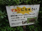 川口自然公園の写真のサムネイル写真12