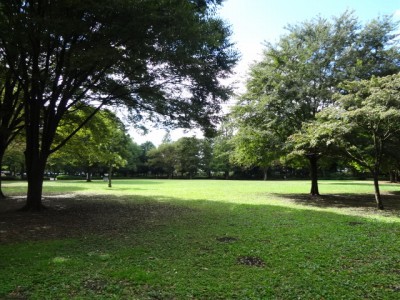 川口自然公園の写真13