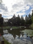 川口自然公園の写真のサムネイル写真15