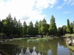 川口自然公園の写真のサムネイル写真19