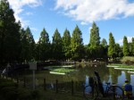 川口自然公園の写真のサムネイル写真21