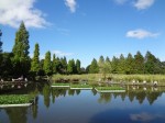 川口自然公園の写真のサムネイル写真22