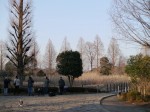 川口自然公園の写真のサムネイル写真25